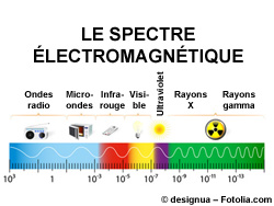 The electromagnetic spectrum vector diagram