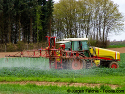 champs et pesticides.jpg